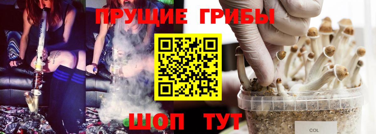 Псилоцибиновые грибы Psilocybine cubensis  Вход с VPN  Химки 