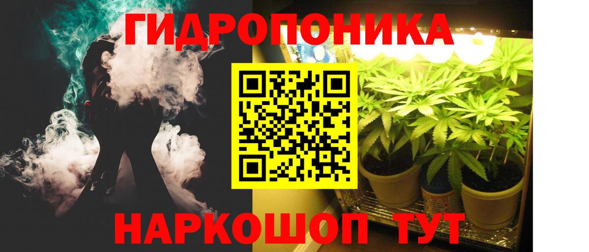 Конопля AK-47  Конопля гибрид  Химки  Вход с VPN  Канабис индика  Канабис LSD WEED 